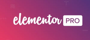 Elementor Pro