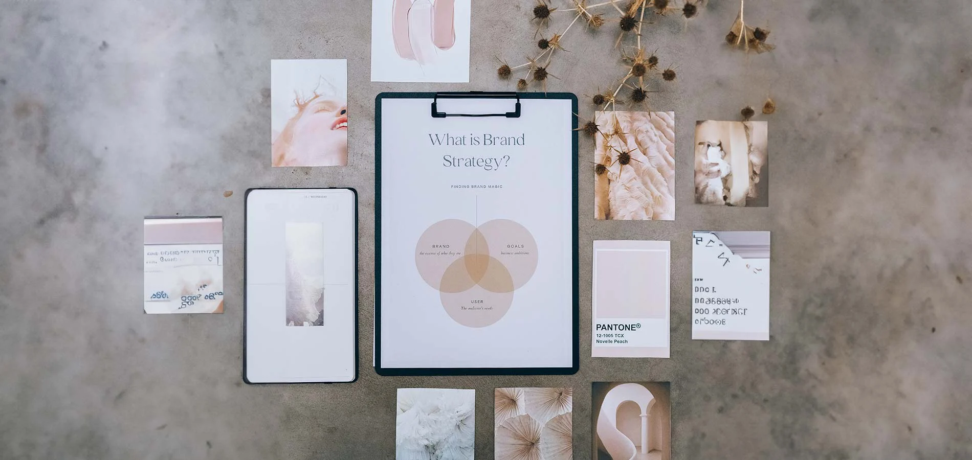 Diseño web y Branding: Más que una simple estética