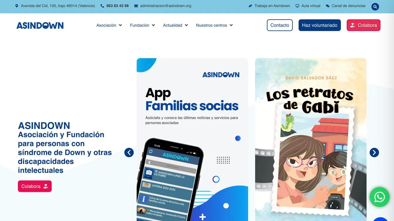 Diseño web Asindown